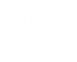 Utsav Caterer